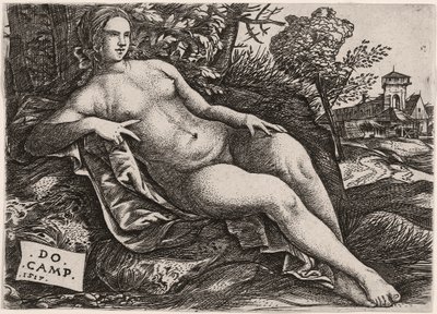 Venus reclinada en un paisaje, c. 1517 de Domenico Campagnola